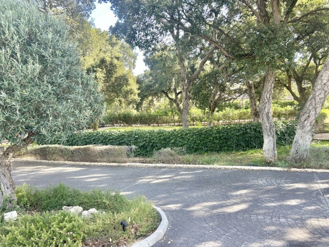  Plot in Sotogrande Alto
