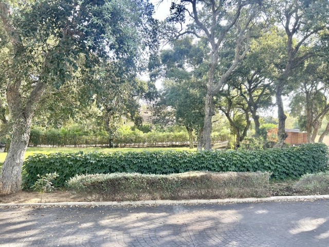  Plot in Sotogrande Alto