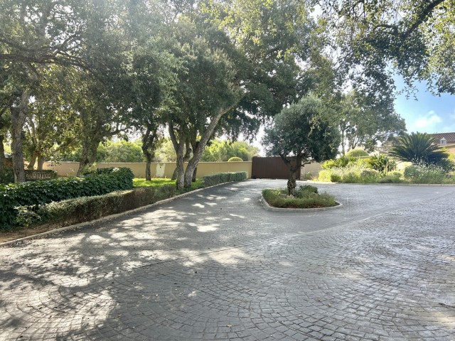  Plot in Sotogrande Alto