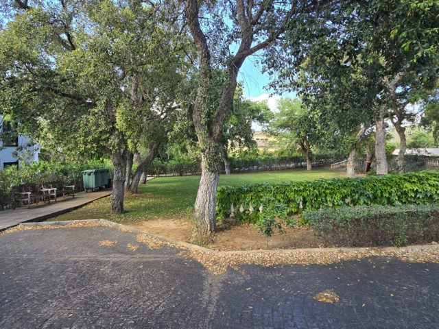  Plot in Sotogrande Alto