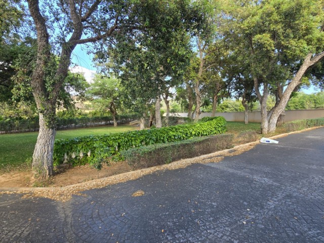  Plot in Sotogrande Alto