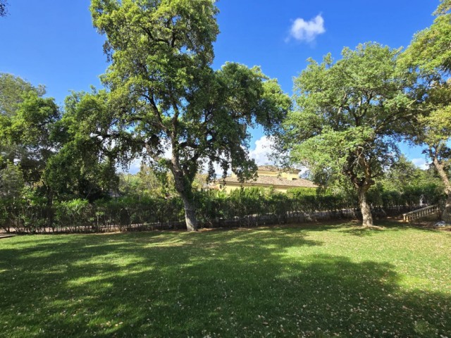  Plot in Sotogrande Alto
