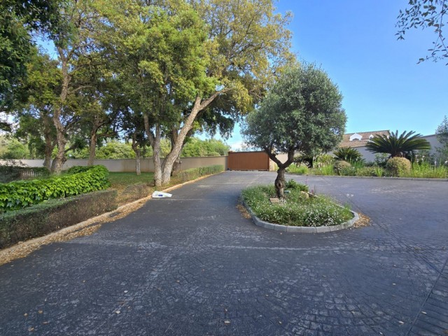  Plot in Sotogrande Alto