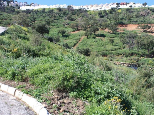  Plot in La Mairena