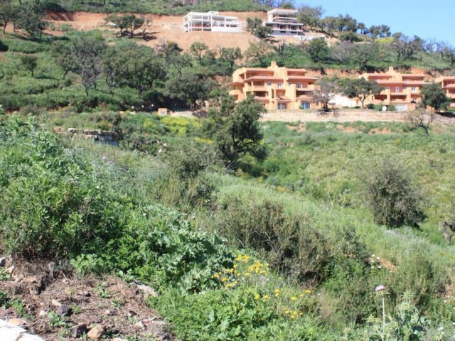  Plot in La Mairena