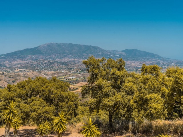 Apartamento con 3 Dormitorios  en La Mairena