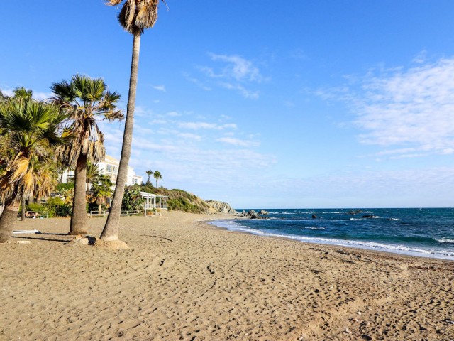 1 Bedrooms Apartment in Casares Playa