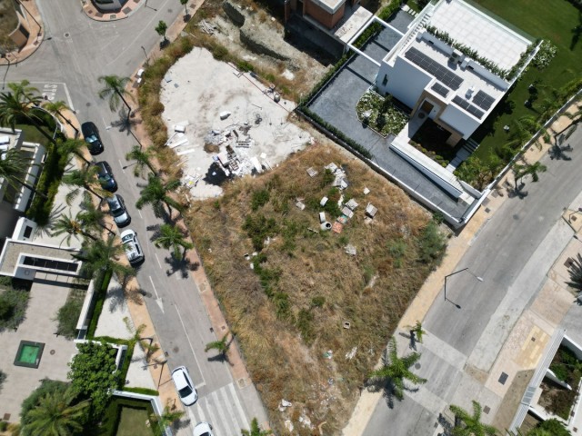  Plot in Cancelada
