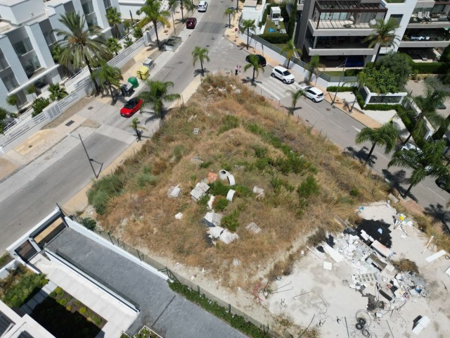  Plot in Cancelada