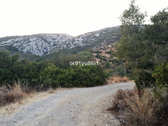 5 Bedrooms Villa in Casares