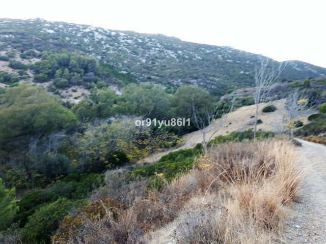 5 Bedrooms Villa in Casares