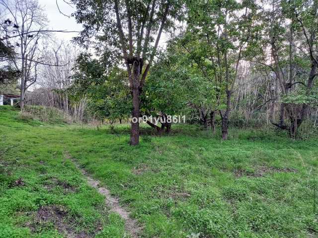 Villa avec 5 Chambres  à Casares
