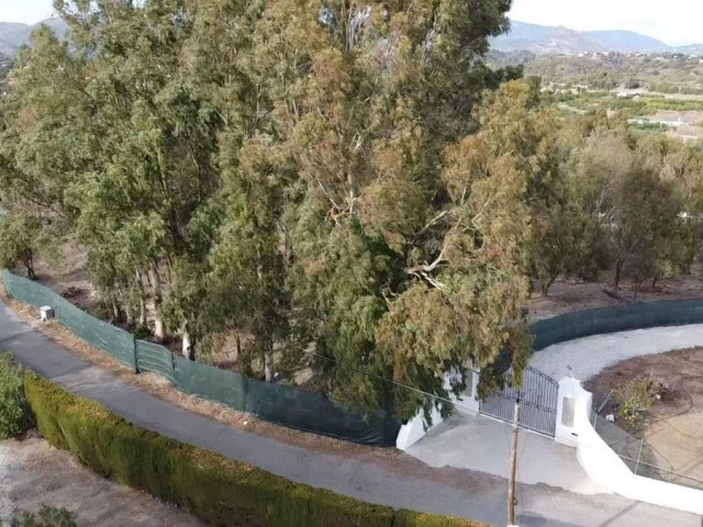  Tontti Estepona