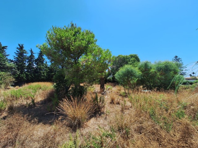  Terreno en Atalaya