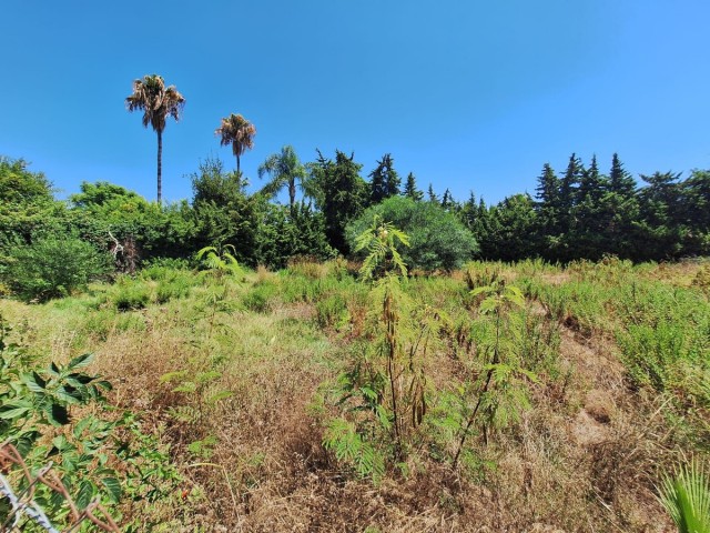  Terreno en Atalaya