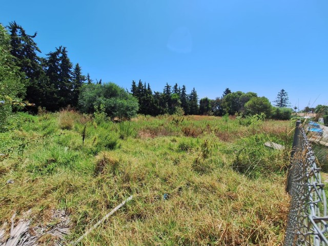  Terreno en Atalaya