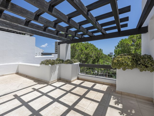 Penthouse in Río Real