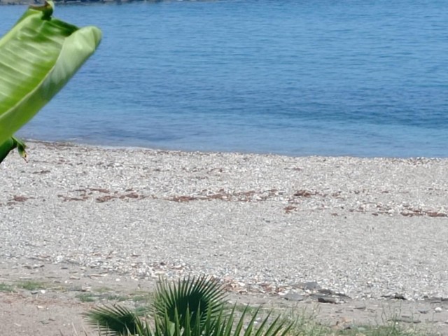 2 Bedrooms Apartment in Benalmadena Costa