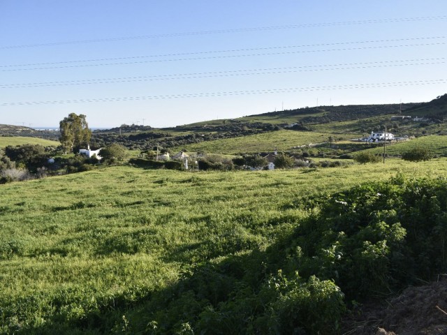  Plot in Casares