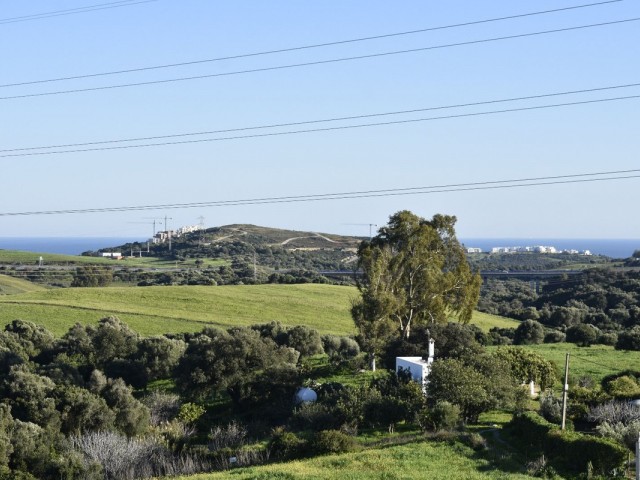  Plot in Casares