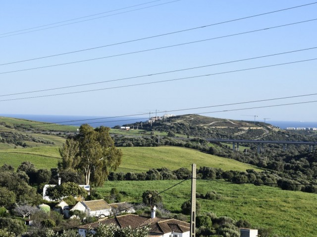  Plot in Casares