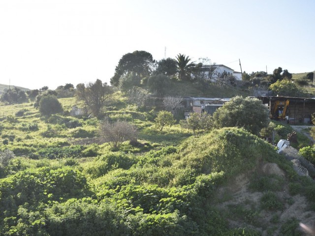  Plot in Casares