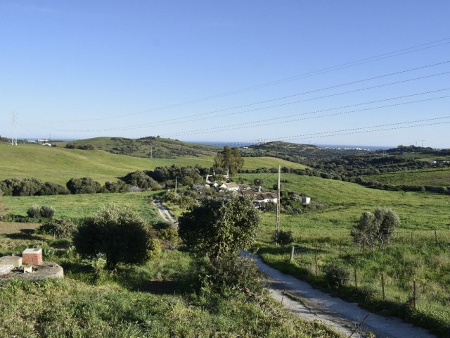  Plot in Casares