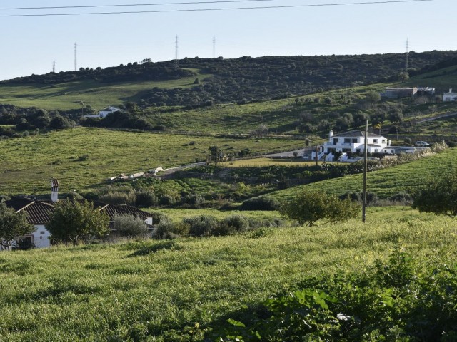  Plot in Casares