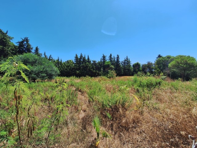  Terreno en Atalaya