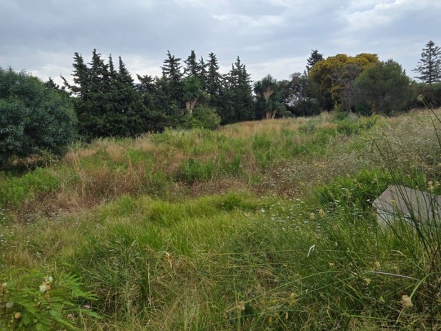  Terreno en Atalaya