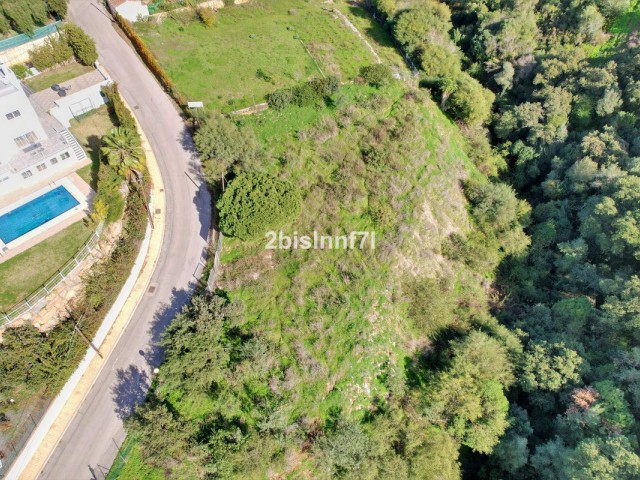  Plot in Elviria