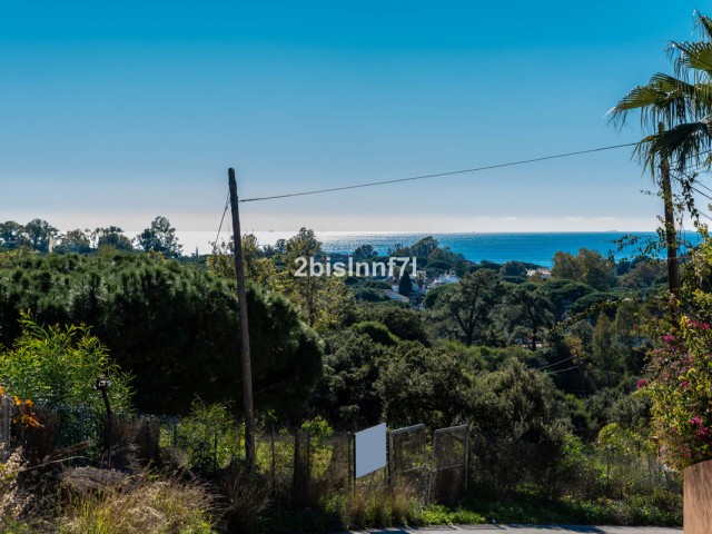  Plot in Elviria