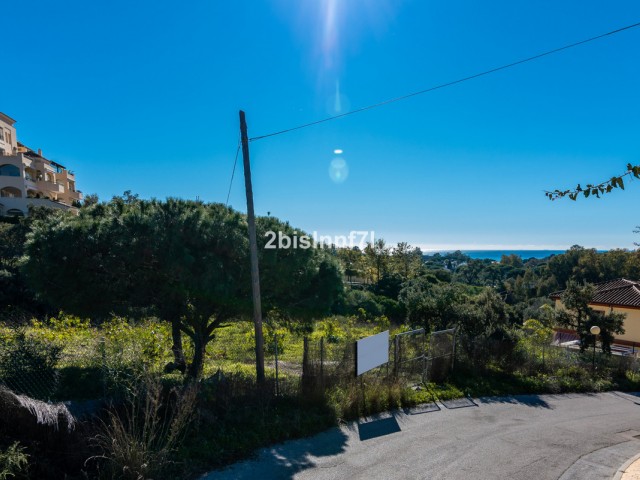  Plot in Elviria