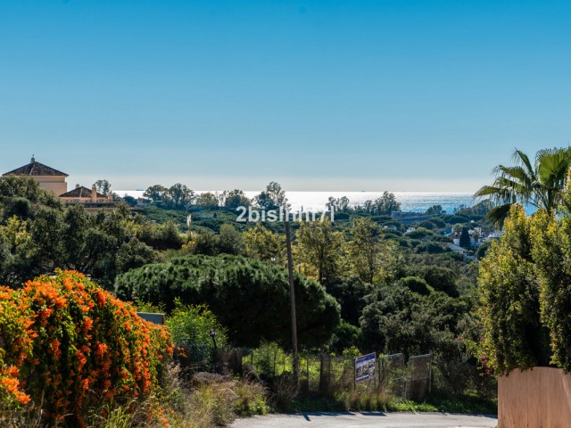  Plot in Elviria