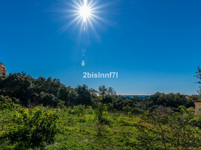  Plot in Elviria