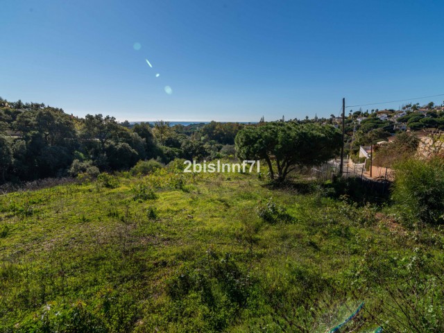  Plot in Elviria