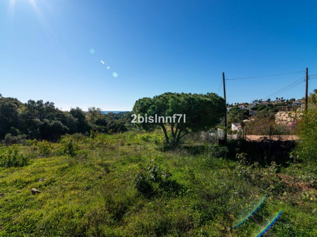  Plot in Elviria