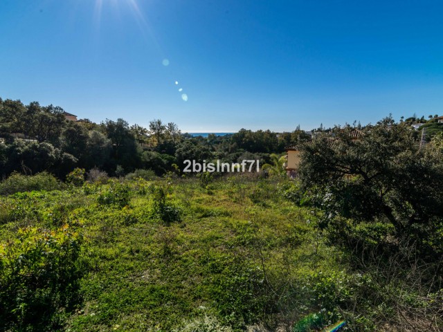  Plot in Elviria