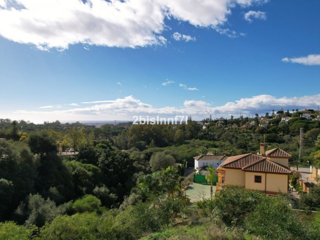  Plot in Elviria
