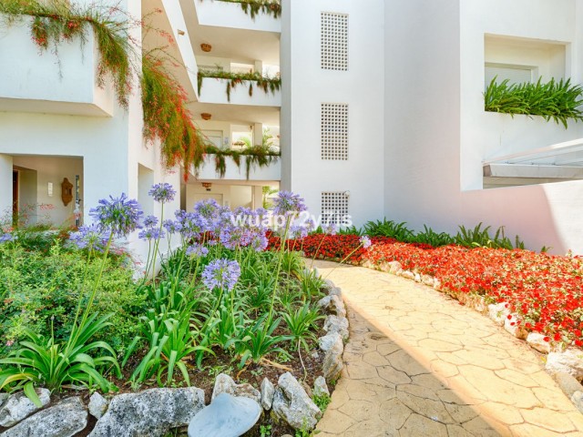 Apartamento con 2 Dormitorios  en Costalita