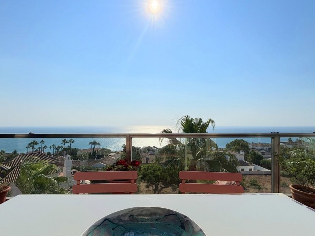 Penthouse in La Duquesa