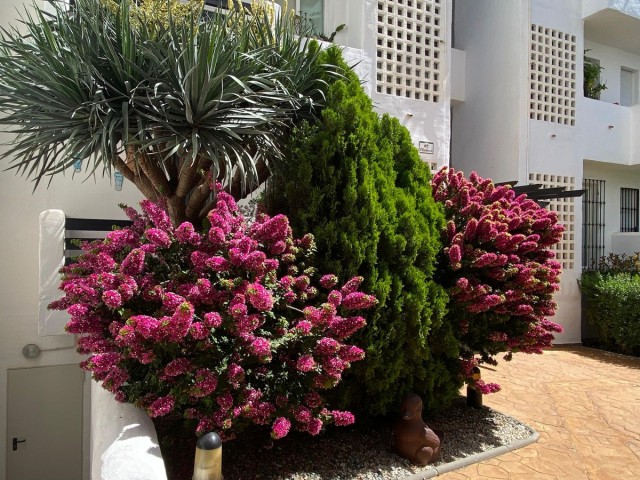 3 Bedrooms Apartment in Torrequebrada