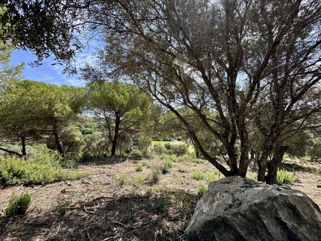  Plot in Sotogrande