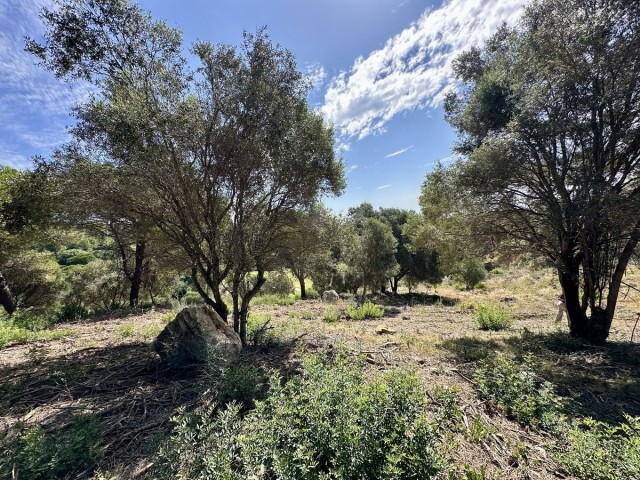  Plot in Sotogrande