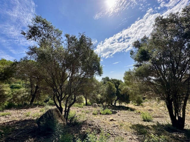  Plot in Sotogrande