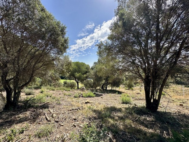  Plot in Sotogrande