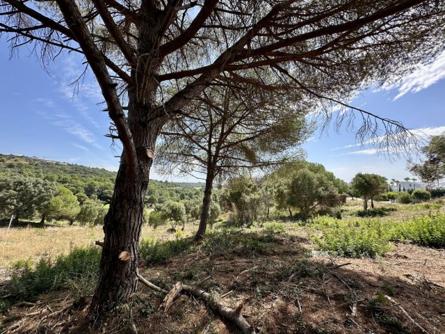 Plot in Sotogrande
