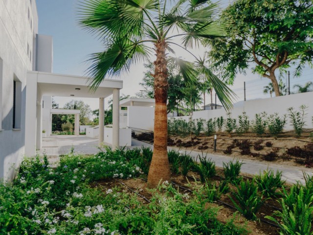 Apartamento, Selwo, R5156191