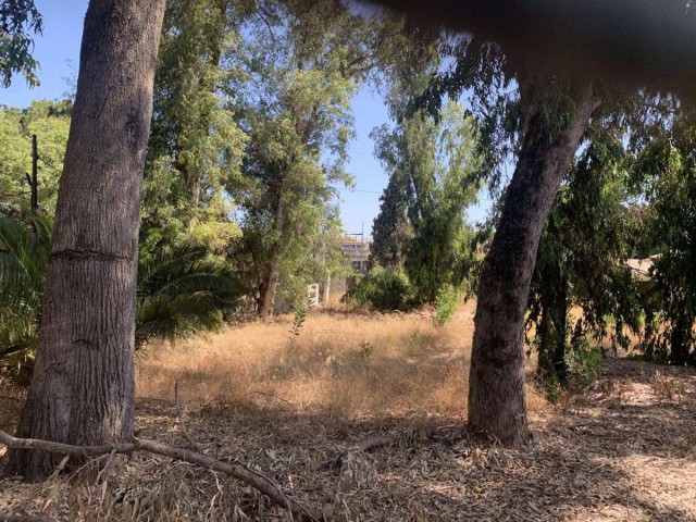  Plot in Marbella
