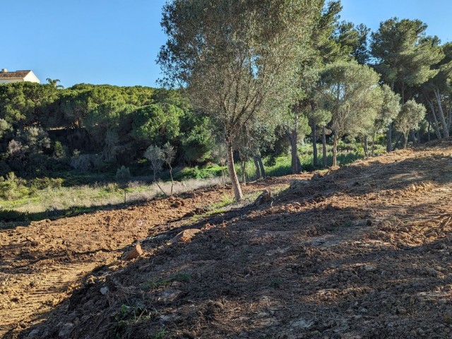 Plot, Sotogrande, R5130544